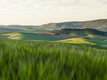 Landscape in ardales, malaga, spain