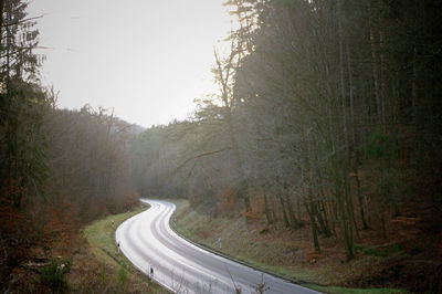 Road passing through forest