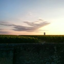 Scenic view of field against sky during sunset