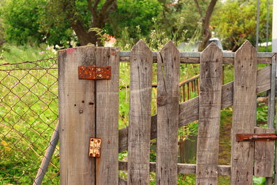 Close-up of wooden fence