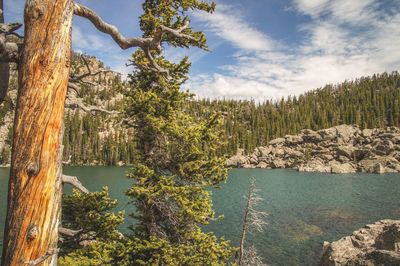 Scenic view of lake by trees against sky