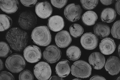 Full frame shot of logs in forest