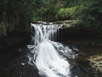 Scenic view of waterfall in forest