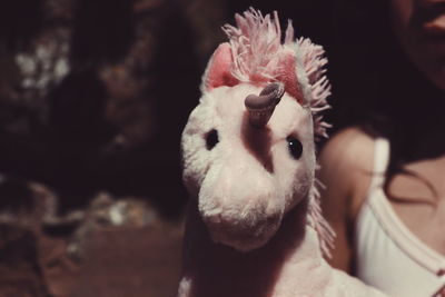 Cropped image of girl holding toy