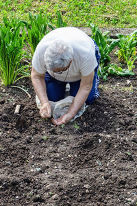 Rear view of woman sitting on field