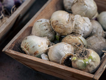 Close-up of food for sale at market