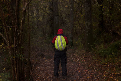 Rear view of person hiking in forest
