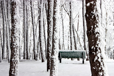 
winter forest frozen park bench.this photo was taken in zheleznovodsk, northern caucasus.