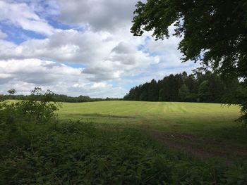 Scenic view of golf course against sky