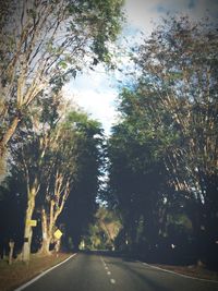 Road passing through trees