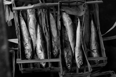 Fish pindang, salted fish in its container ready for sale. 