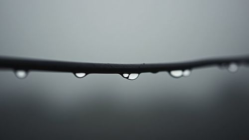 drop