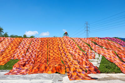 Low angle view of man covering plants with textile against clear sky