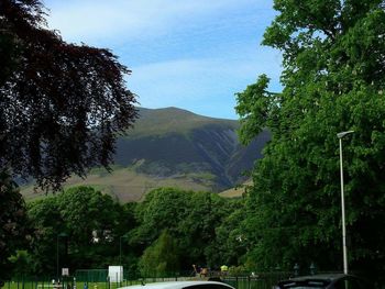 Trees and mountains against sky