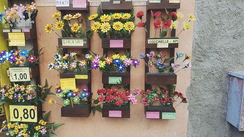 Various flowers for sale at store