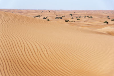 Scenic view of sand dunes in desert against sky