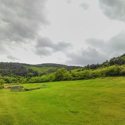 Scenic view of grassy field against cloudy sky