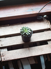 High angle view of potted plants on window sill