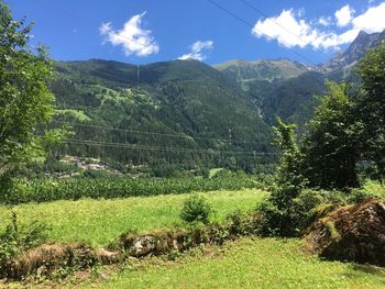 Scenic view of landscape against sky