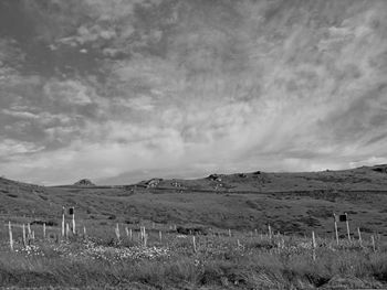 Scenic view of field against sky