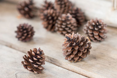 High angle view of pine cone on table