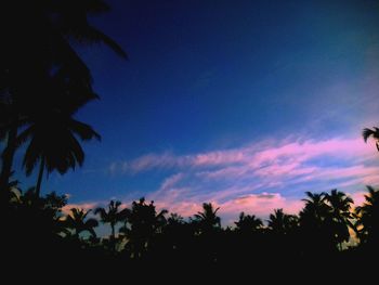 Low angle view of silhouette trees against sky at sunset