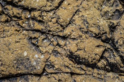 Full frame shot of sand