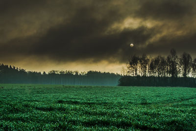 Scenic view of field against sky