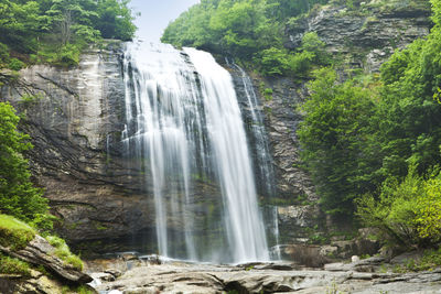 Scenic view of waterfall in forest