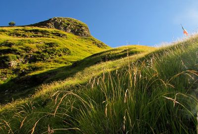 Low angle view of landscape against clear sky