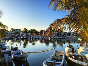 Panoramic view of boats moored in harbor