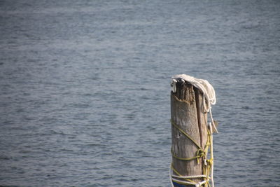 Close-up of wooden post on sea