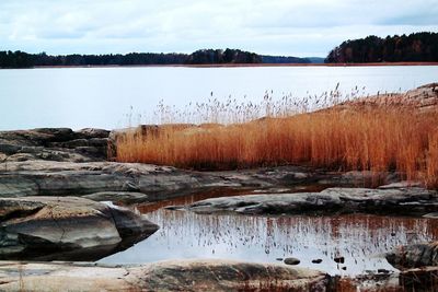 Scenic view of lake against sky