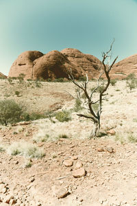 Scenic view of desert against sky