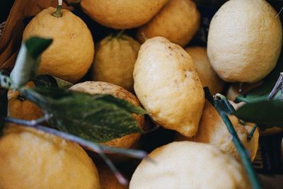 Full frame shot of fruits in market