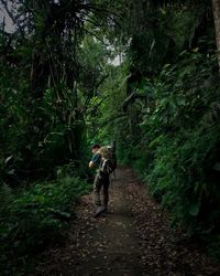 Rear view of man walking on footpath amidst trees