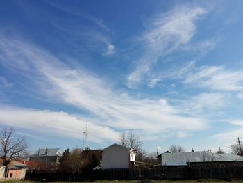 Trees against sky