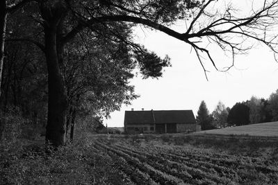 Trees and houses on field against sky