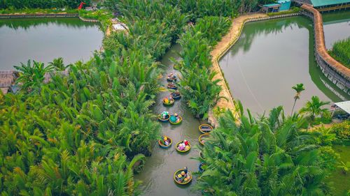 High angle view of plants by river