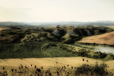 Scenic view of landscape against clear sky