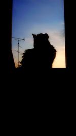 Silhouette horse against clear sky during sunset