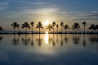 Reflection of trees in sea