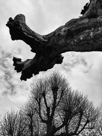 Low angle view of bare tree against sky