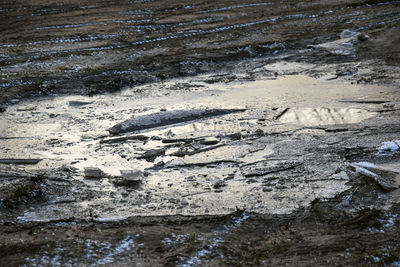 High angle view of footprints on wet beach