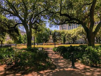 Trees in park