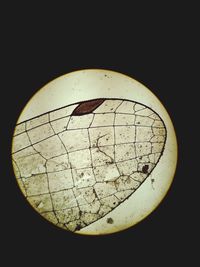 Close-up of electric lamp against black background