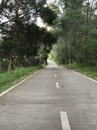 Empty road along trees