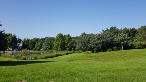 Scenic view of golf course against clear sky