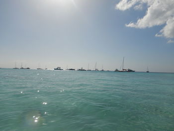 Sailboats sailing in sea against sky