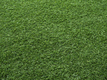 Full frame shot of soccer field